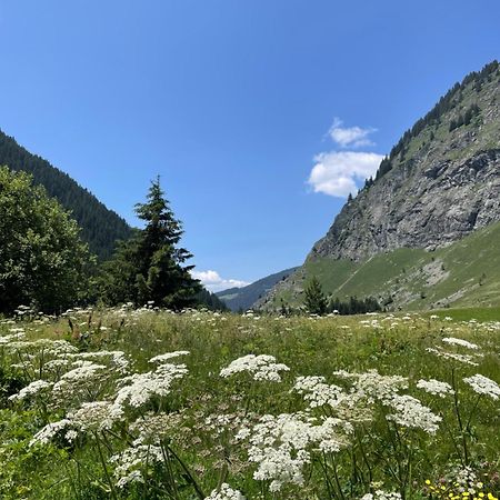 T2 Vue Sur Le Parc De La Vanoise ลาปลาญ ภายนอก รูปภาพ