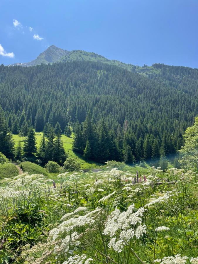 T2 Vue Sur Le Parc De La Vanoise ลาปลาญ ภายนอก รูปภาพ
